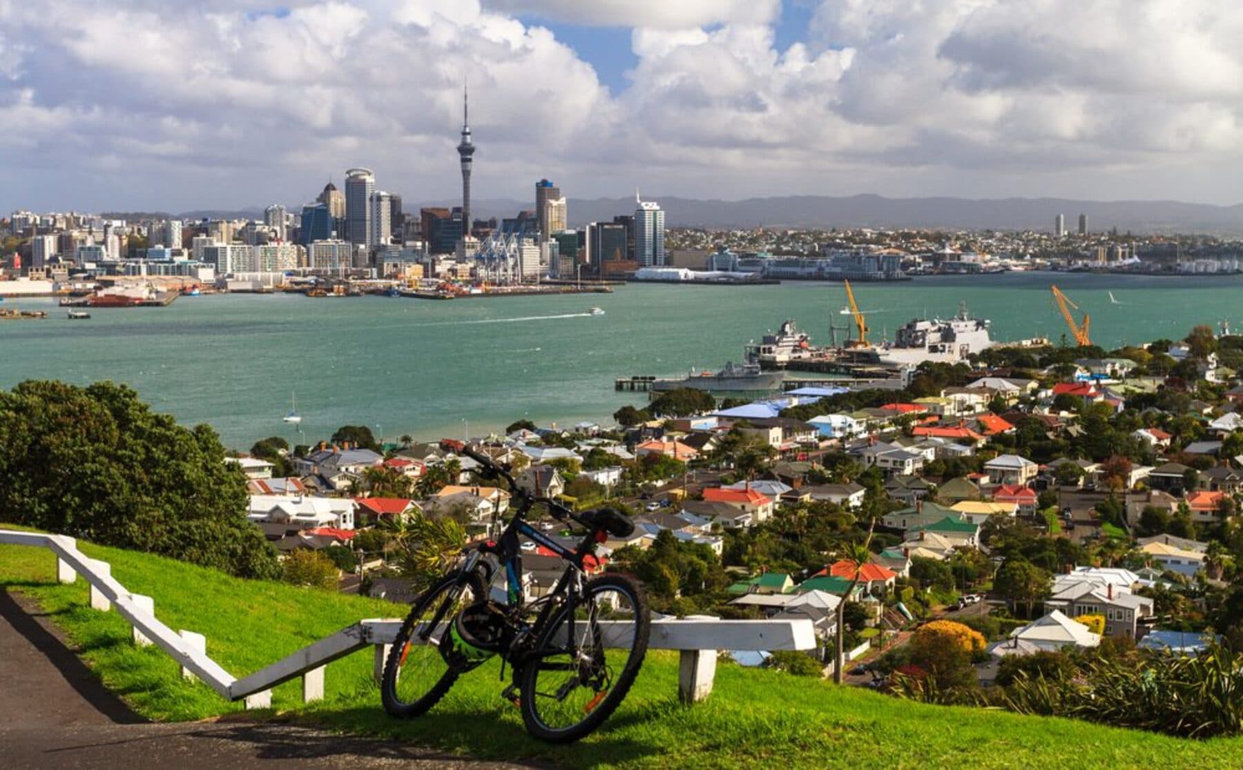 NEW ZEALAND EXPERIENCE