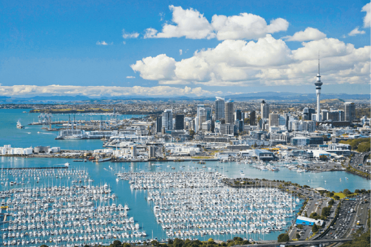 KIWI WONDERS: AUCKLAND TO ROTORUA ADVENTURE 4