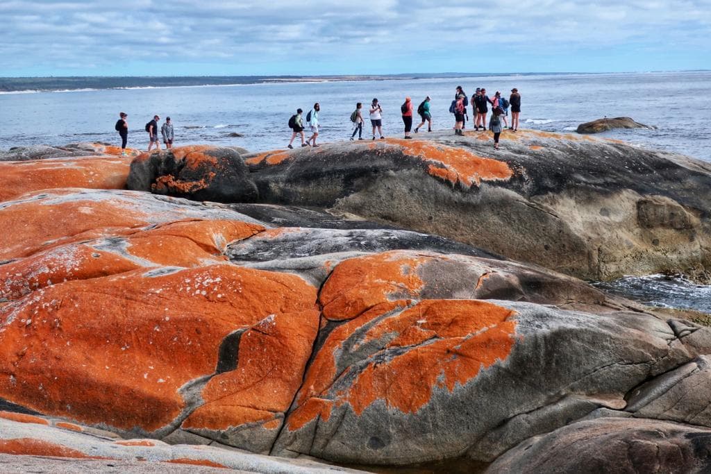 ENCHANTING COLORS OF TASMANIA! 5
