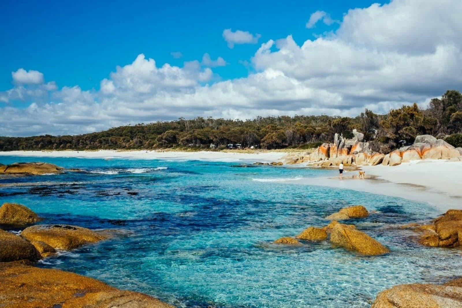 ENCHANTING COLORS OF TASMANIA!