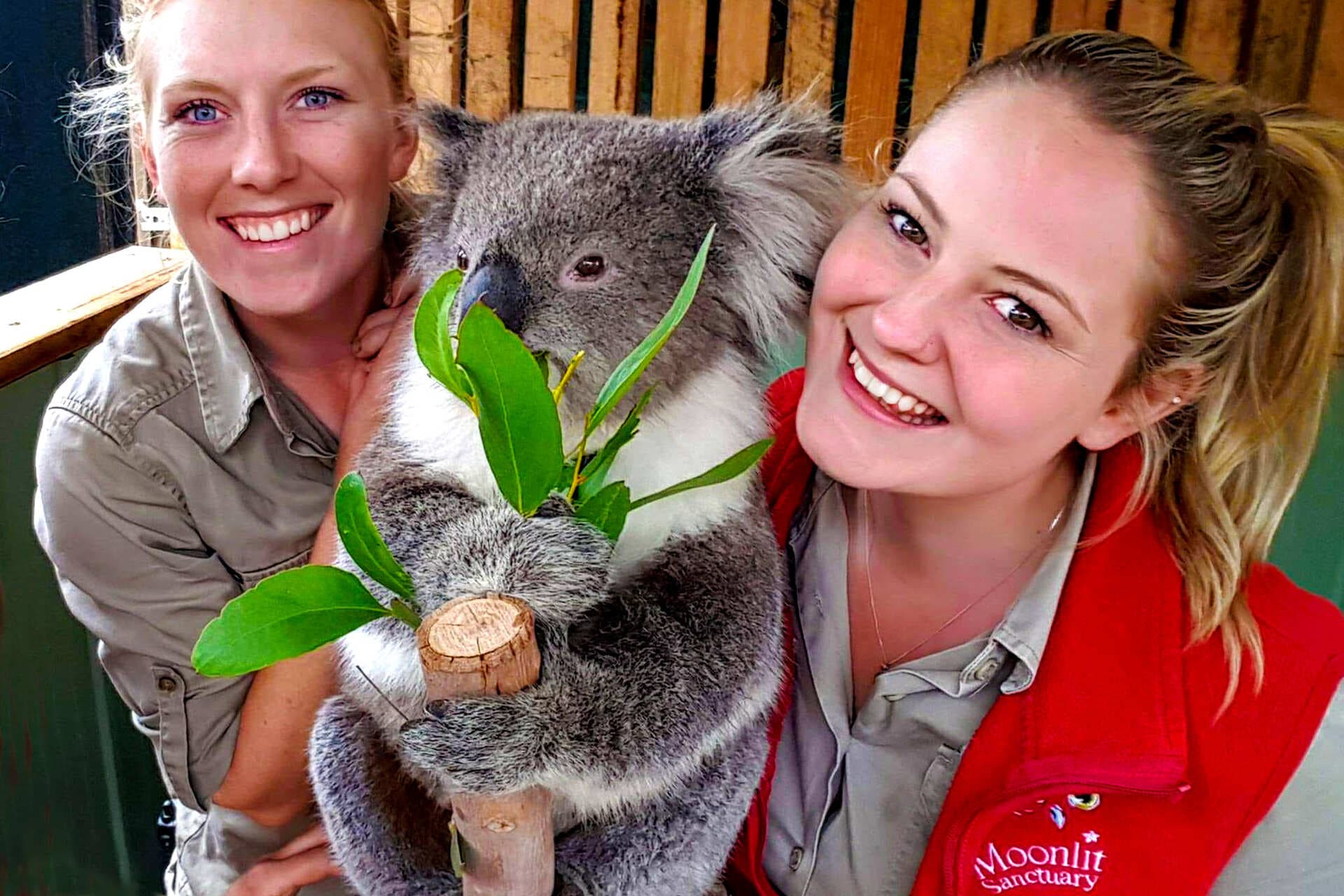 AUSTRALIAN EXPLORER