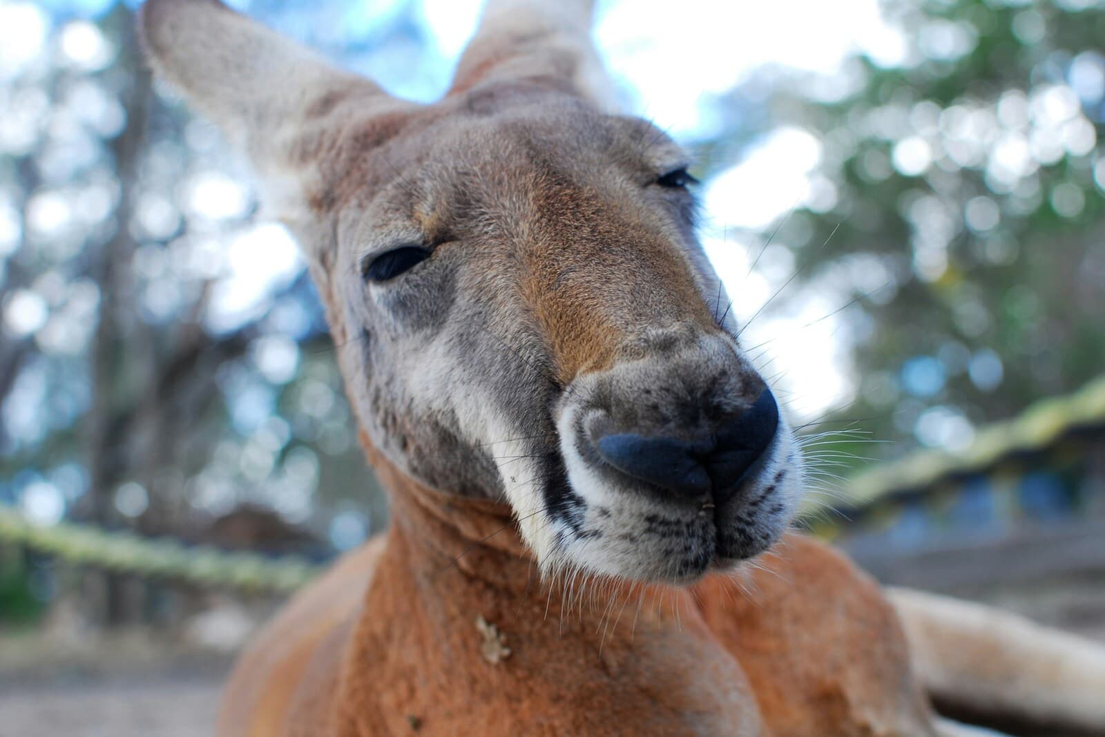 COMPLETE MAGICAL AUSTRALIA AND NEW ZEALAND – 18 DAYS 2