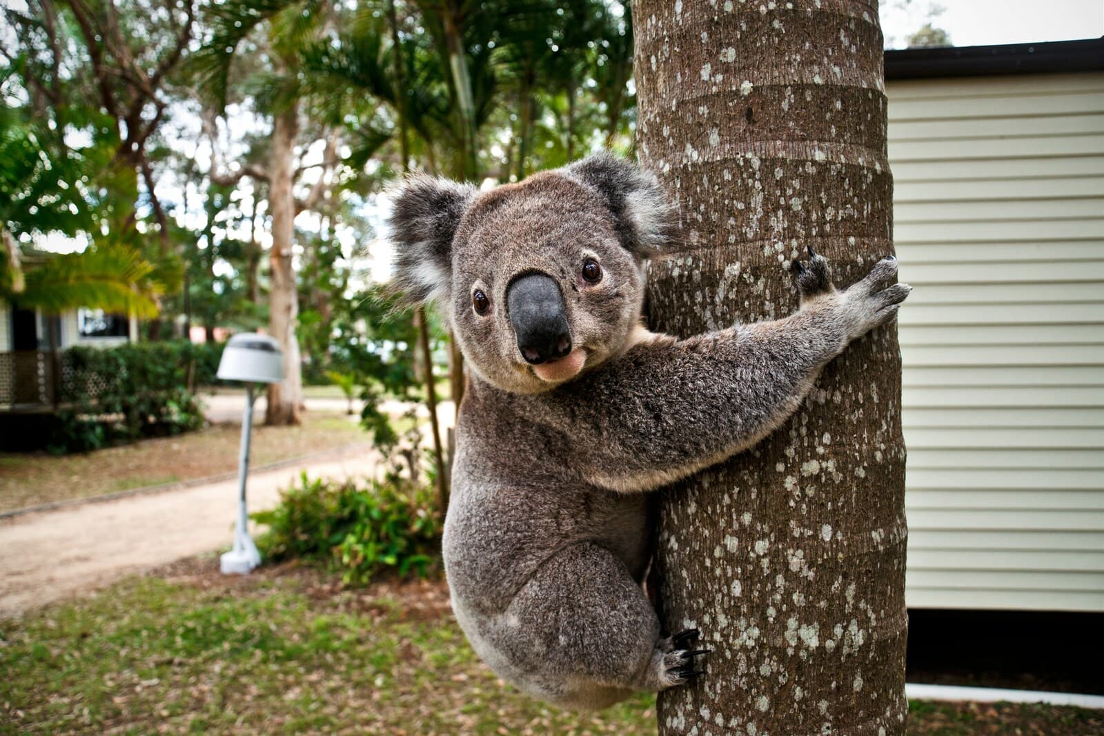 COMPLETE MAGICAL AUSTRALIA AND NEW ZEALAND – 18 DAYS 4